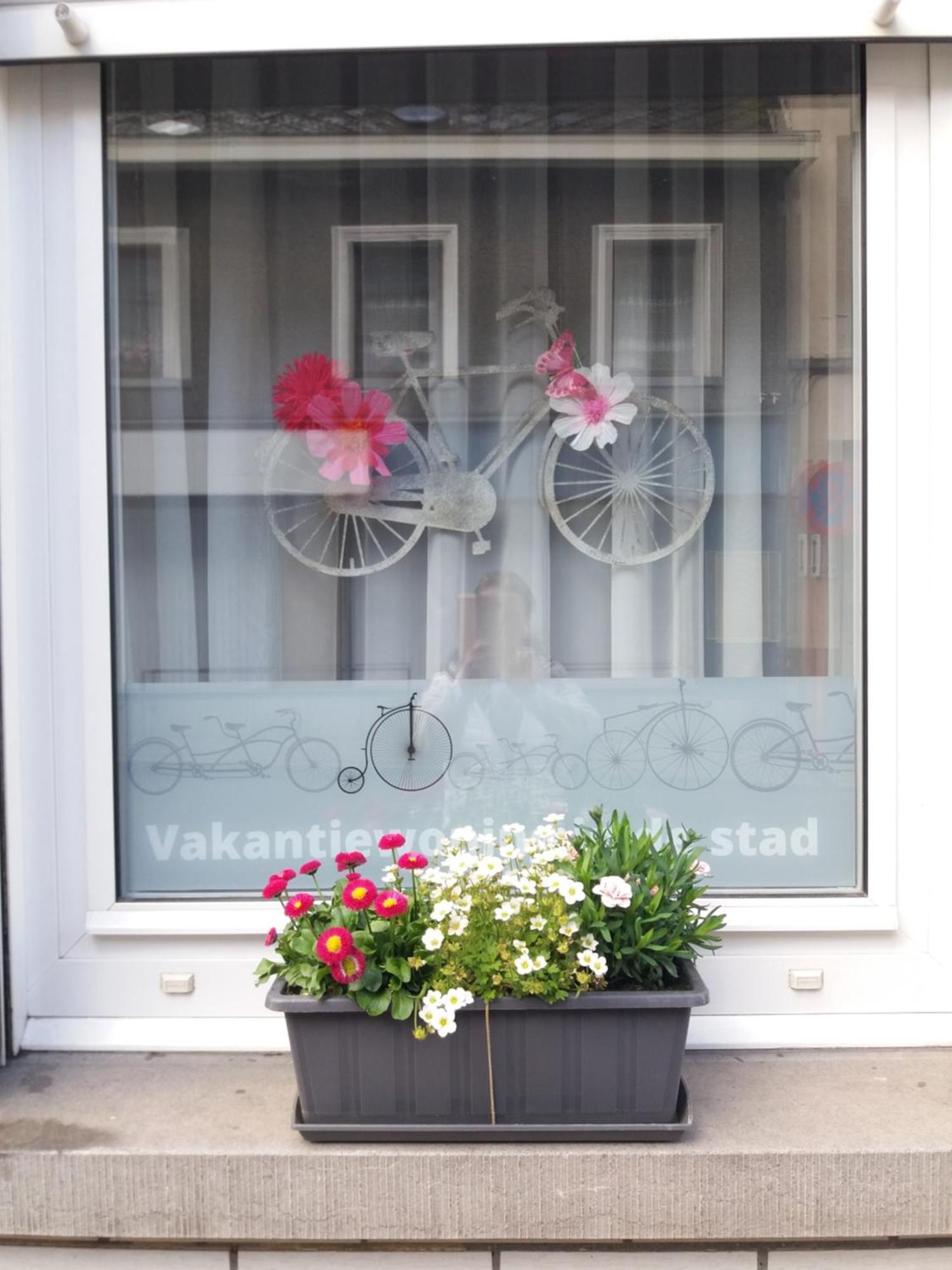 Velocipede Oudenaarde Buitenkant foto